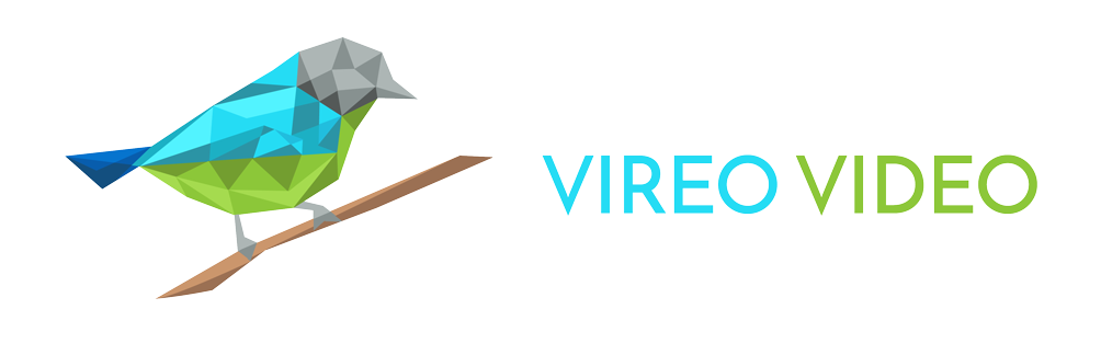 Contact - Vireo Video Marketing Agency