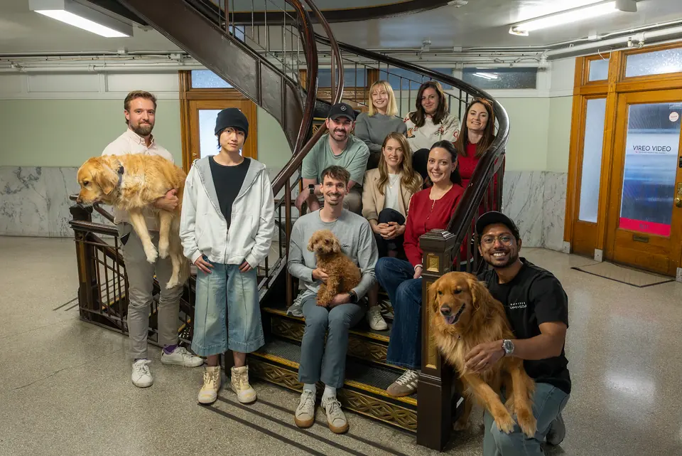 The team and office dogs on the staircase